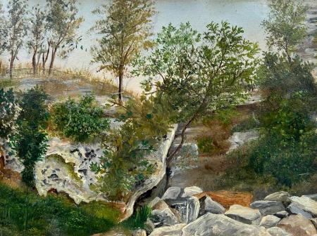 Quadro di  Anonimo paesaggio - olio carta 